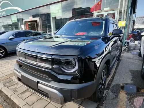 BAW BJ30, 2025