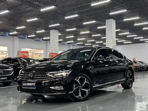 Volkswagen Magotan, 2024