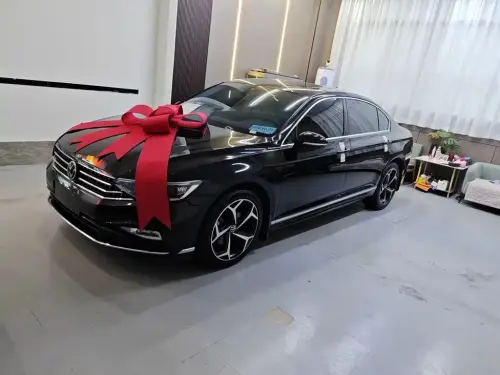 Volkswagen Magotan, 2025