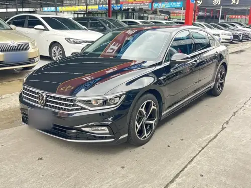 Volkswagen Magotan, 2024