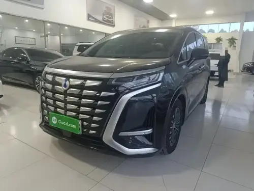 Denza D9, 2024
