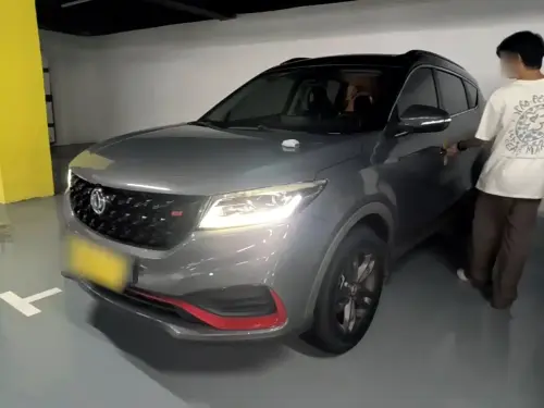 Dongfeng Fengguang 580, 2021