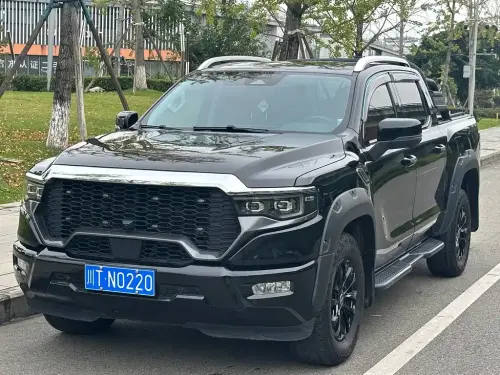 Foton Mars, 2024