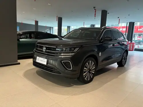 Volkswagen Tavendor, 2024