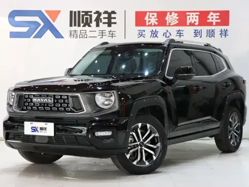 Haval Big Dog PLUS, 2024