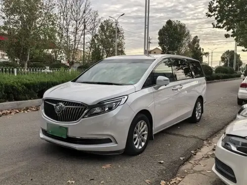 Buick GL8, 2020