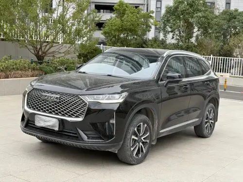 Haval H6, 2021