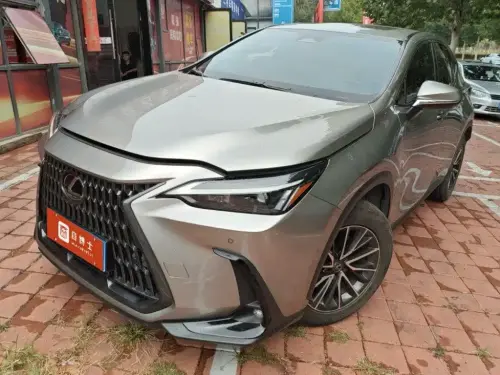 Lexus NX, 2022