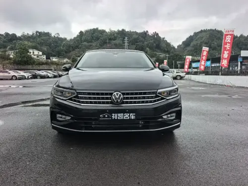 Volkswagen Magotan, 2024