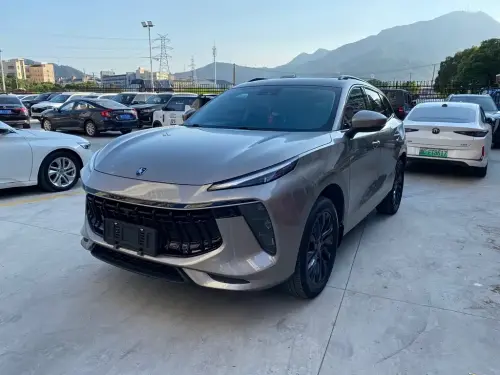 Dongfeng T5 EVO, 2021