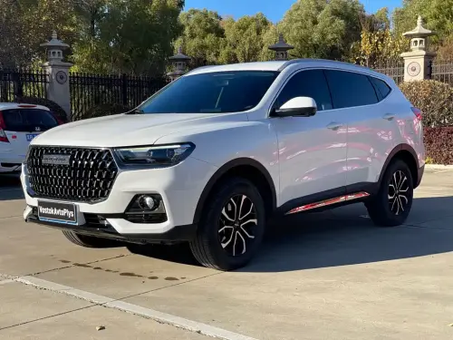 Haval H6, 2024