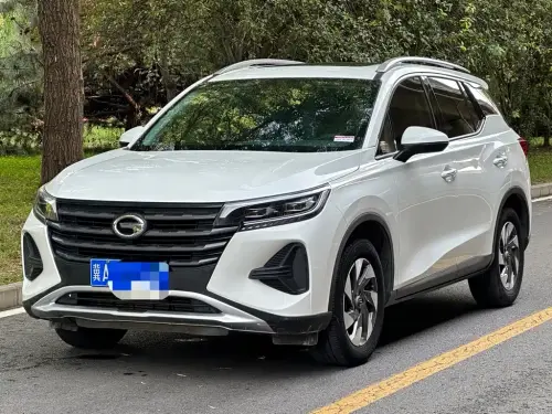 GAC GS4, 2020