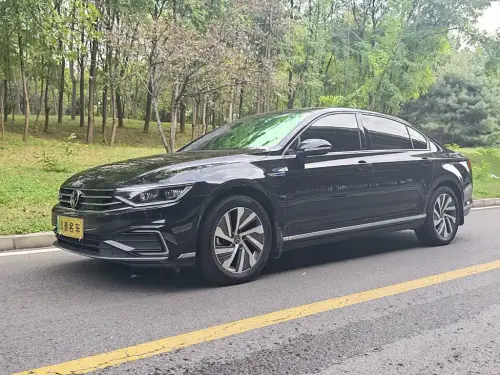 Volkswagen Magotan, 2023