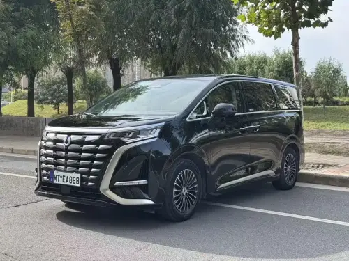 Denza D9, 2024