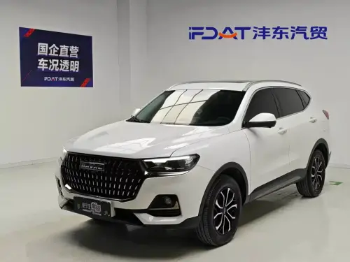 Haval H6, 2024