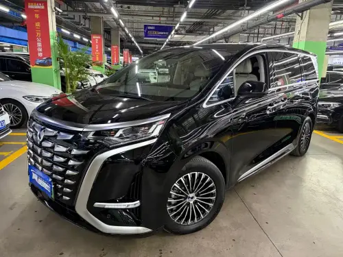 Denza D9, 2024