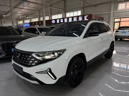 Jetta VS7, 2023