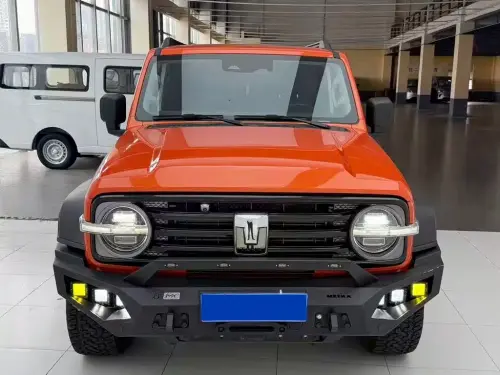 Tank 300, 2021