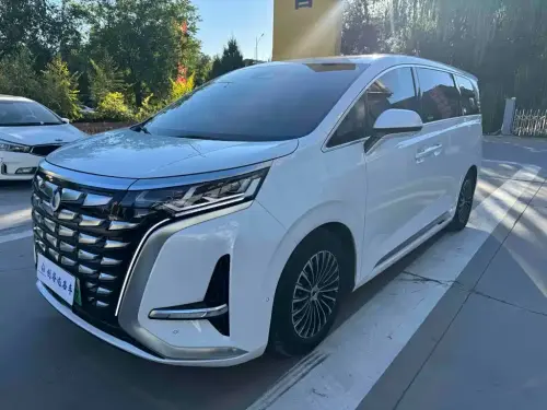 Denza D9, 2024
