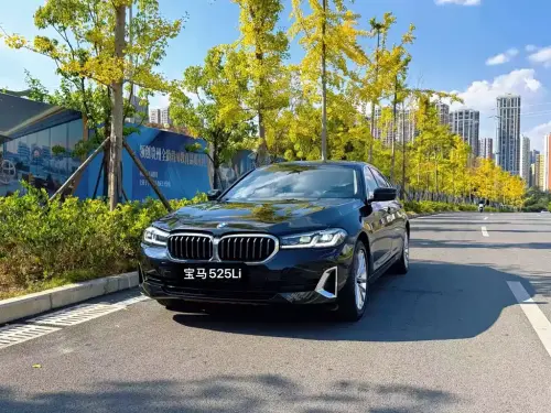 BMW 5-Series, 2021