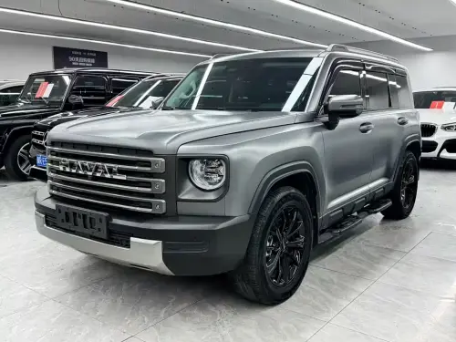 Haval Menglong, 2025
