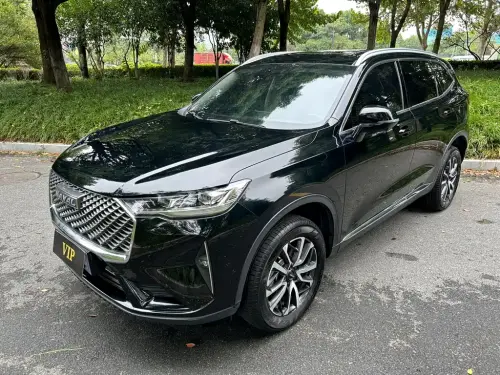 Haval H6, 2024