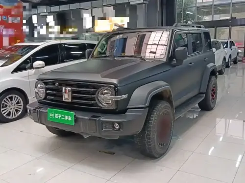 Tank 300, 2021