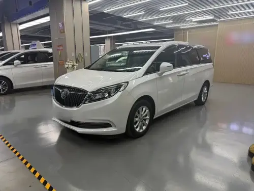 Buick GL8, 2020