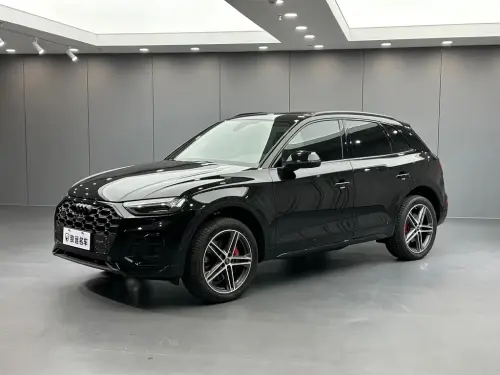 Audi SQ5, 2024