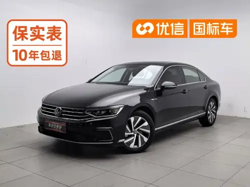 Volkswagen Magotan, 2024