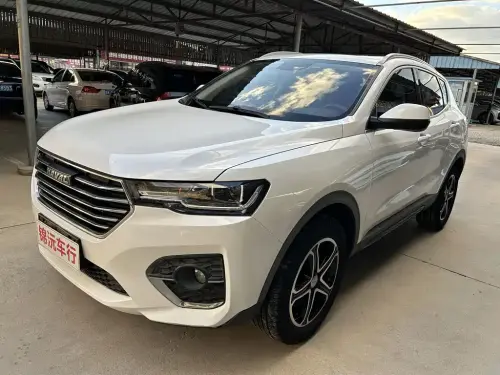 Haval H4, 2020