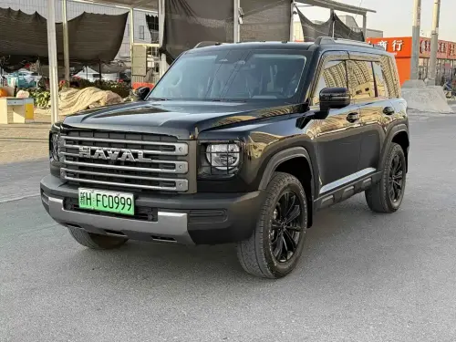Haval Menglong, 2024