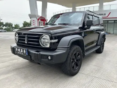 Tank 300, 2021
