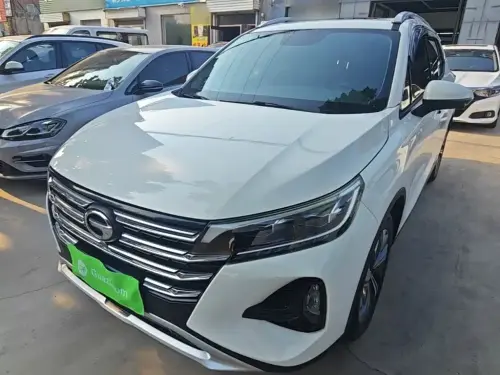 GAC GS4, 2020