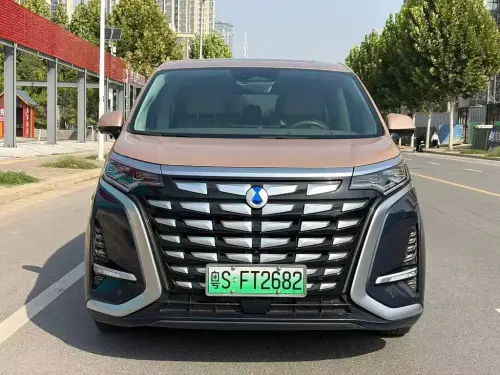 Denza D9, 2023