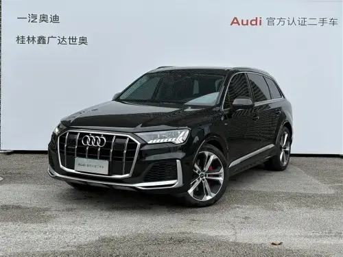 Audi Q7, 2024