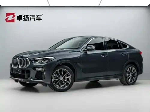 BMW X6, 2021