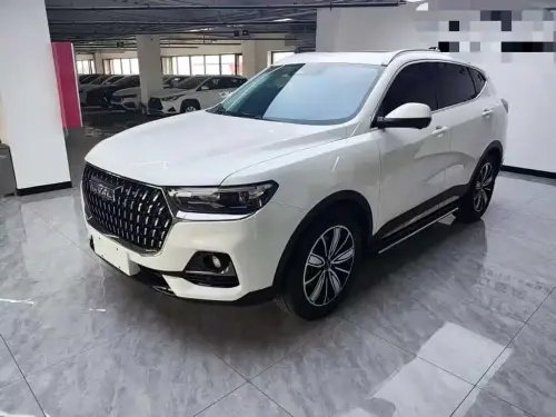 Haval H6, 2024