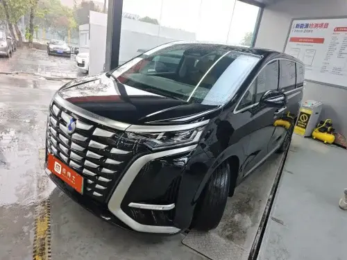 Denza D9, 2024
