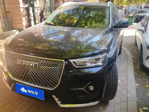 Haval H6, 2020