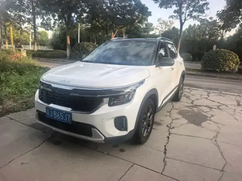 Kia Seltos, 2024