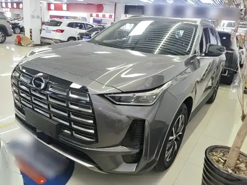 GAC GS4, 2024