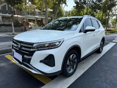 GAC GS4, 2020