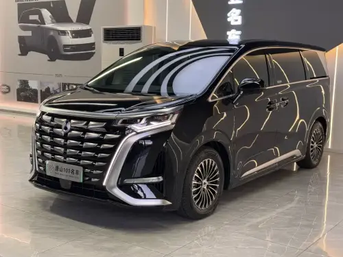 Denza D9, 2025