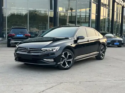 Volkswagen Magotan, 2024