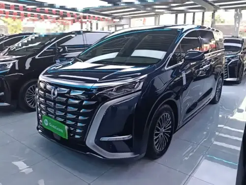 Denza D9, 2024