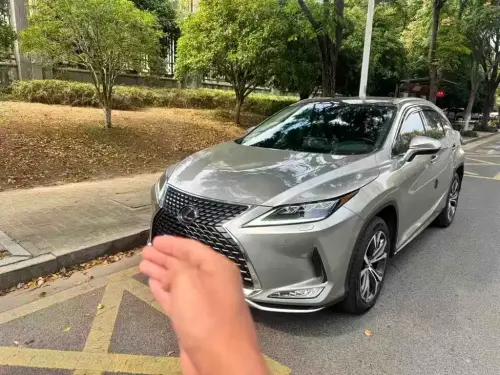 Lexus RX, 2022