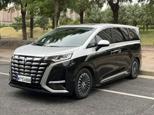 Denza D9, 2024