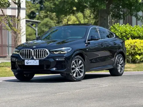 BMW X6, 2021