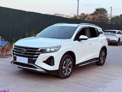GAC GS4, 2021